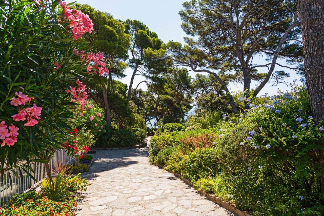 Hoteliere Le Provencal A Giens - Bord De *